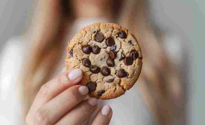 自动化网页登录与Cookie持久化管理工具